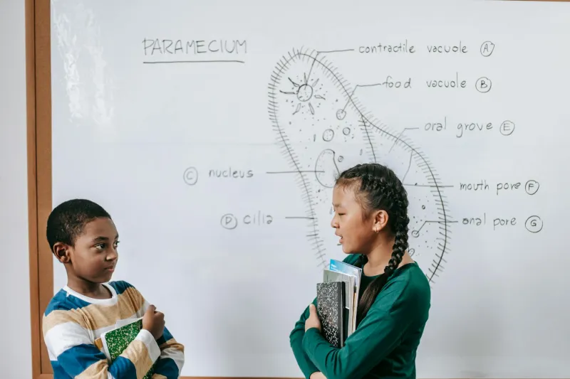 Your Body Has Way More Than Five Senses — But Schools Keep Teaching Aristotle's Outdated List