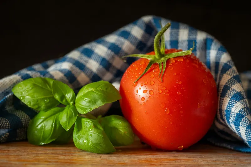 Dropped Food and the Five-Second Myth: What Actually Happens When Your Sandwich Hits the Ground