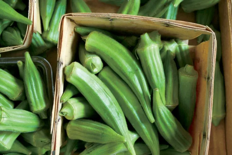 Connecticut Agricultural Experiment Station